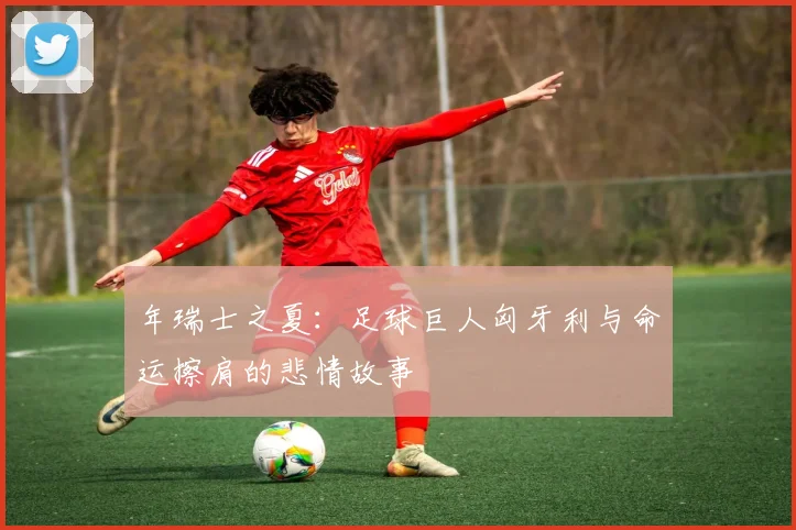 年瑞士之夏:足球巨人匈牙利与命运擦肩的悲情故事