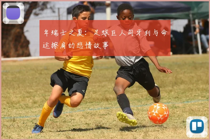 年瑞士之夏:足球巨人匈牙利与命运擦肩的悲情故事