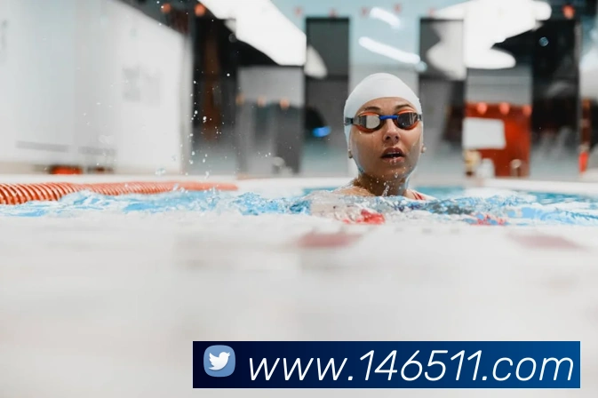 熊猫官网入口平台生态图