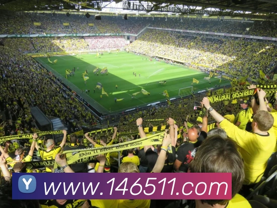 熊猫官网入口全站App